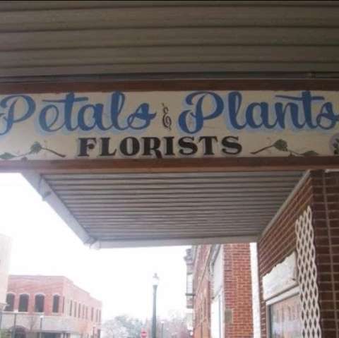 Petals & Plants